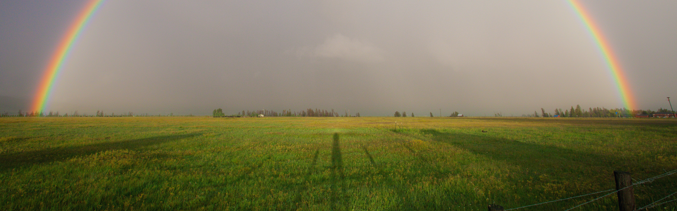 مدونة راية الزراعية