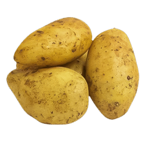 برنامج إرشادي لزراعة البطاطس