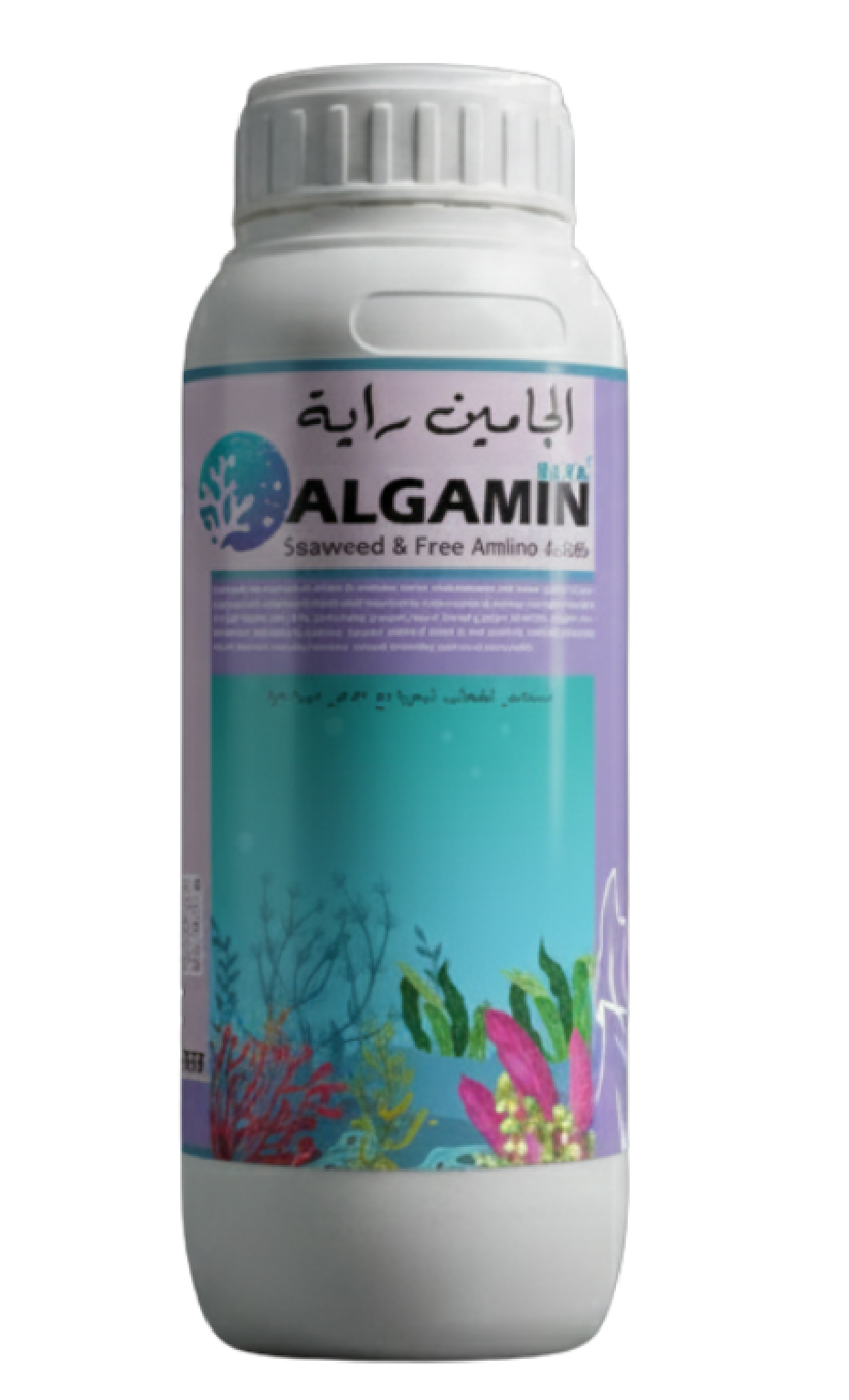 الجامين راية