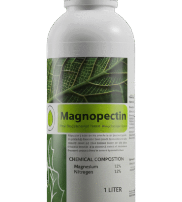 ماجنوبكتين