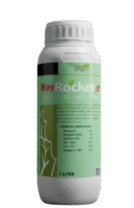 راي روكت إن