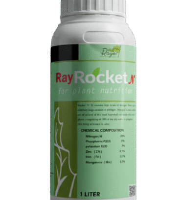 راي روكت إن