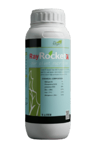 راي روكت كي