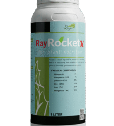 راي روكت كي