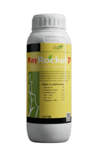 راي روكت بي