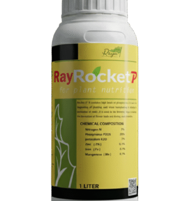 راي روكت بي