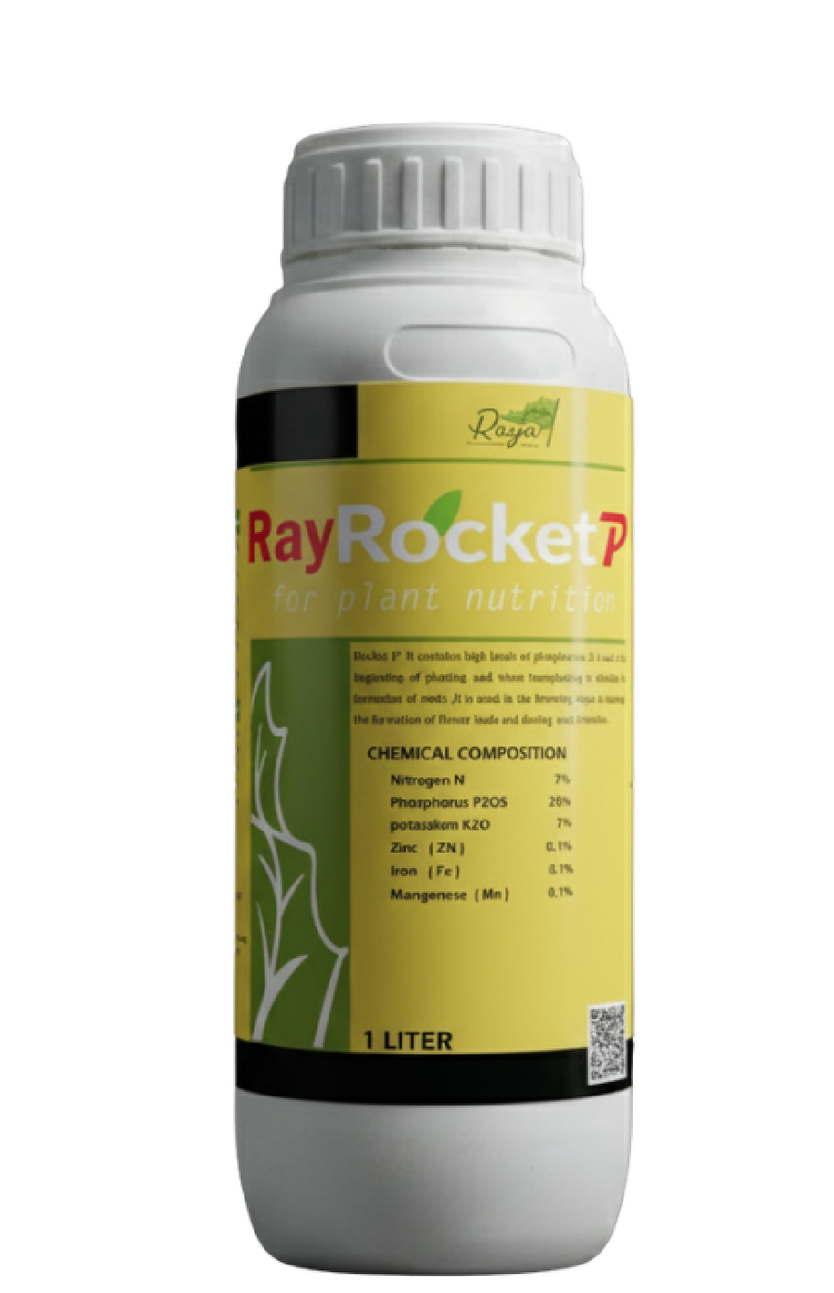 راي روكت بي