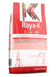 رايه كيه – 5-6-43