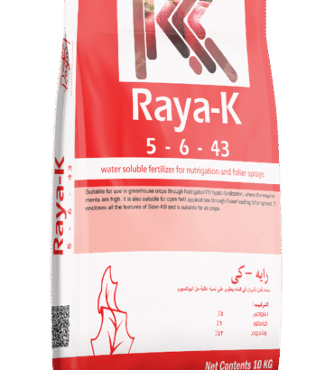 رايه كيه – 5-6-43