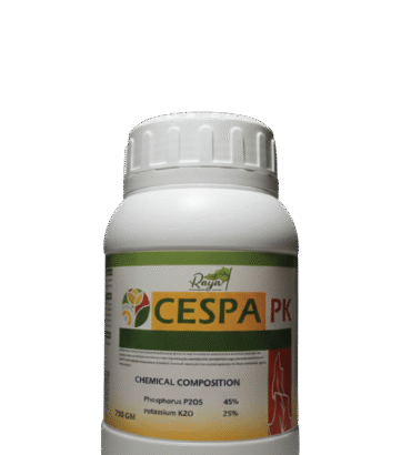 سيسبا بي كيه