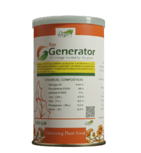 راي جينيريتر