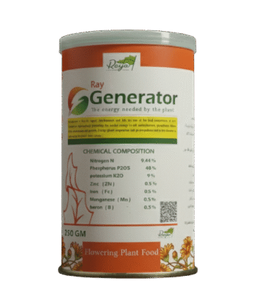 راي جينيريتر