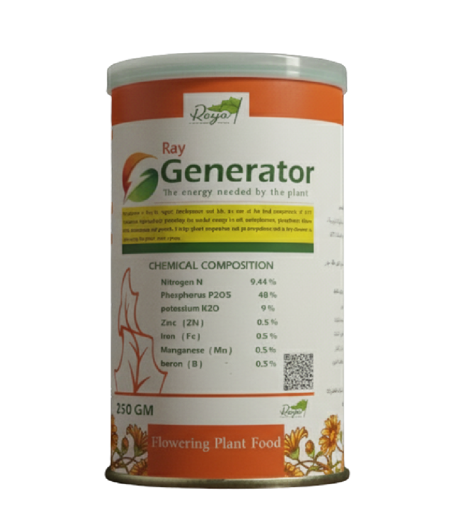 نتائج مذهلة من راي جينيراتور على محصول الكراوية!