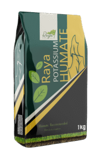 راية هيومات