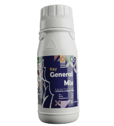 راى جينرال ميكس