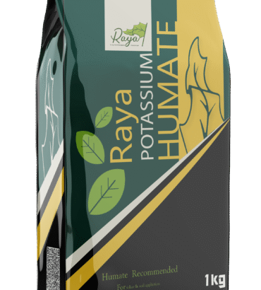 راية هيومات