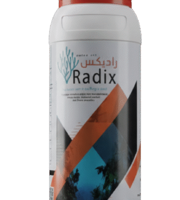 راديكس