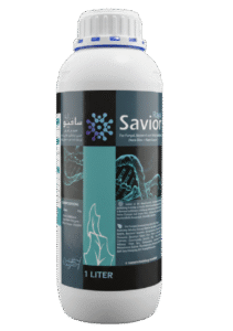 سافيور راية