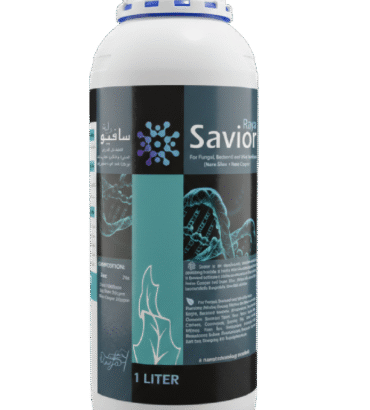 سافيور راية