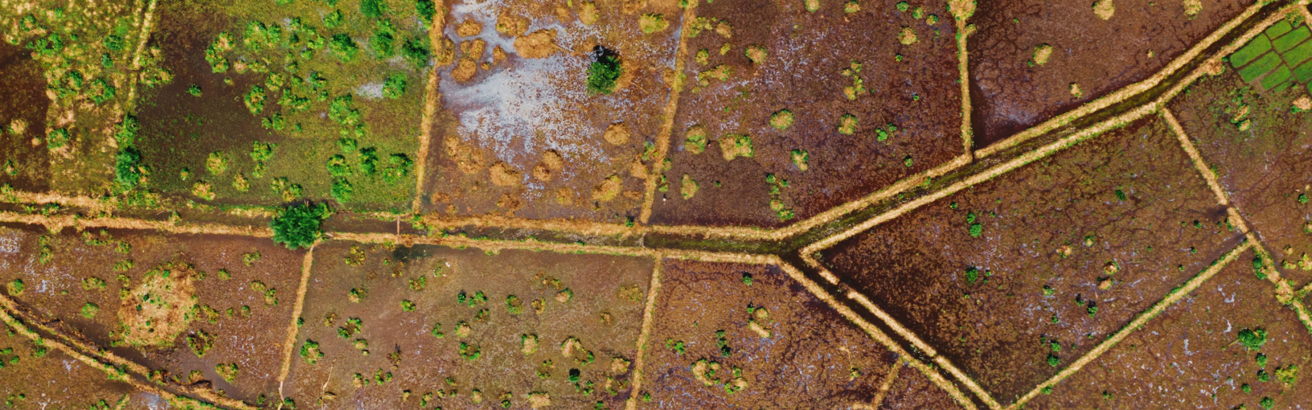 خدمات الرفع المساحي للأراضي الزراعية