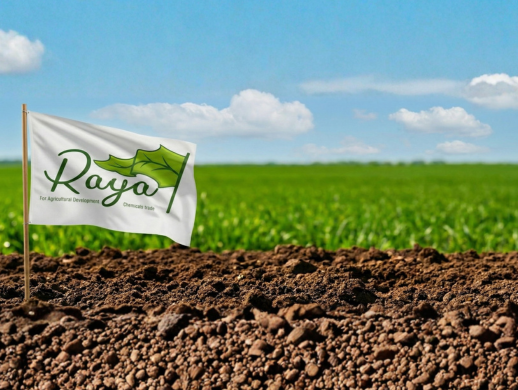 برنامج استرشادي لزراعة ورعاية بنجر السكر